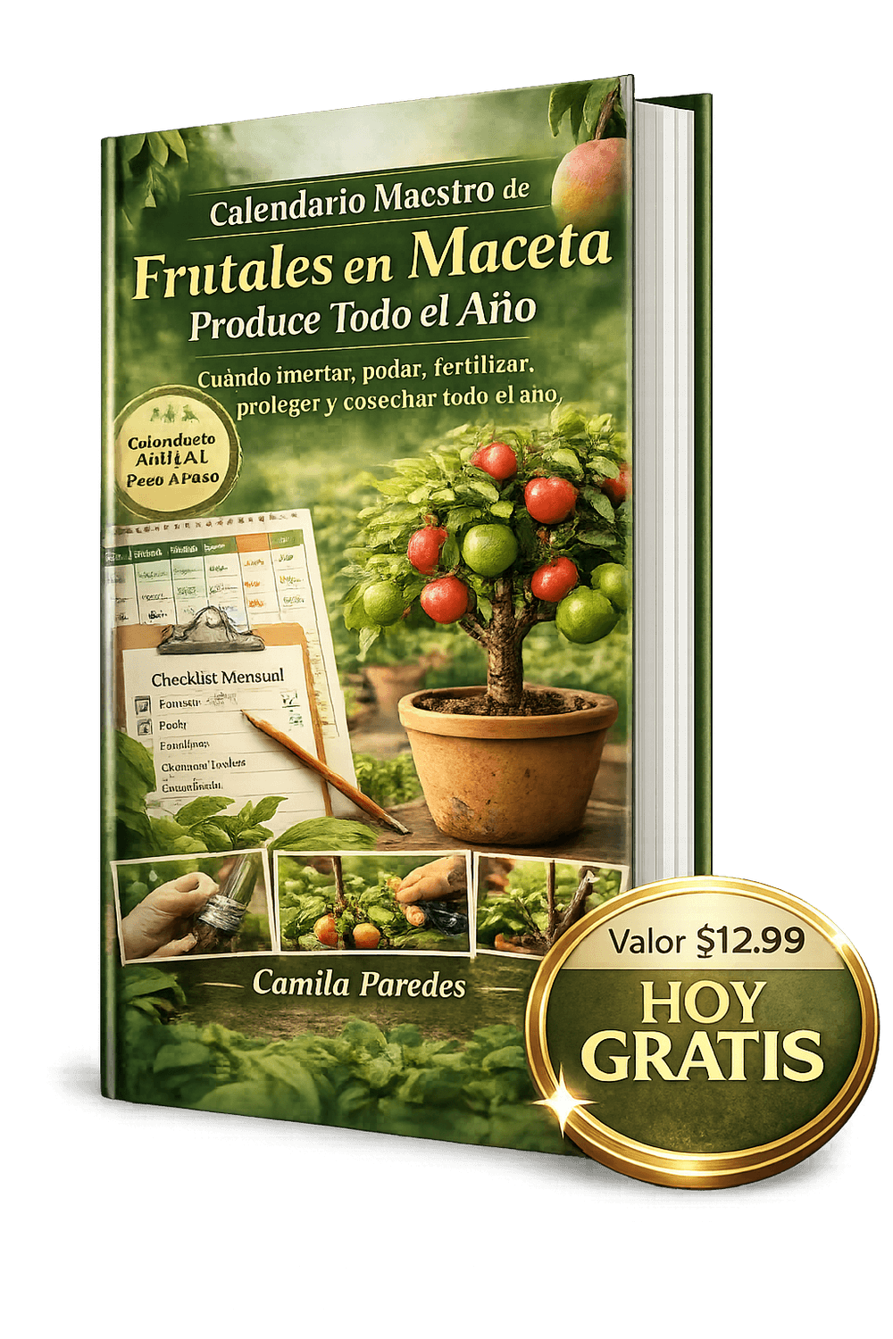 Calendario Maestro de Frutales en Maceta – Produce todo el año